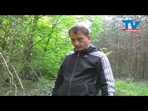 Nebezpečná tajemství Bořího lesa 3 - Břeclav - Poštorná