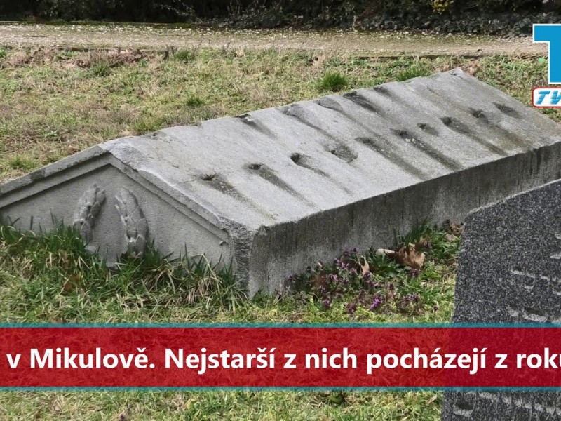 Židovský hřbitov Břeclav - Jewish cemetery of Breclav - Judenfriedhof von Breclav